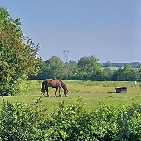 Chez Philippe アパート *